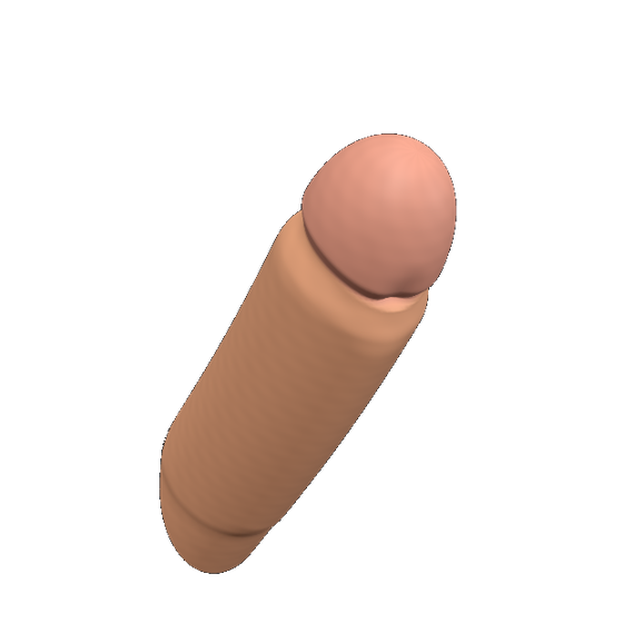 Modelo 3D do simulador